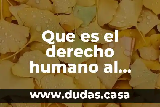 Que es el derecho humano al agua y saneamiento