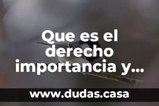 Que es el derecho importancia y transferencia del derecho