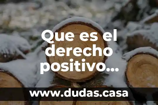 Que es el derecho positivo publico y privado