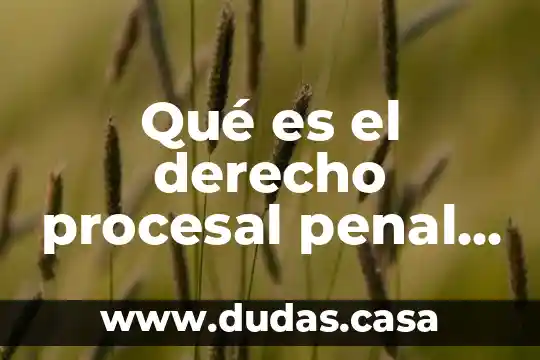 Qué es el derecho procesal penal en Venezuela