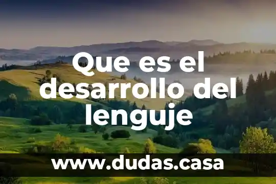 Que es el desarrollo del lenguje
