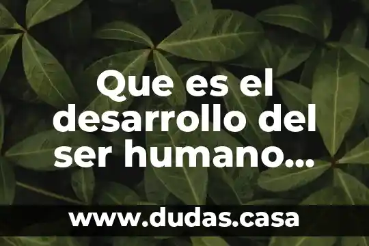 Que es el desarrollo del ser humano psicologico
