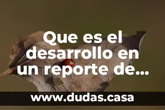 Que es el desarrollo en un reporte de lectura