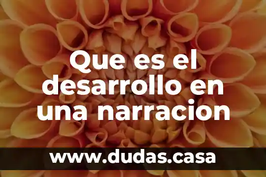 Que es el desarrollo en una narracion