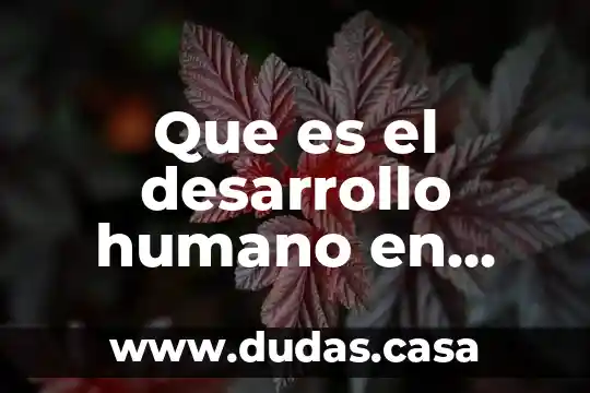Que es el desarrollo humano en psicologia conceptos basicos
