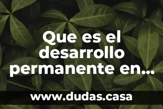 Que es el desarrollo permanente en la administracion