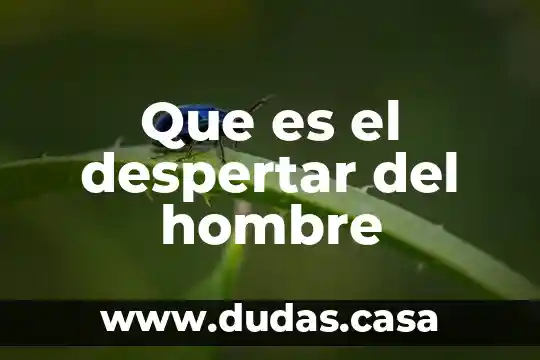 Que es el despertar del hombre