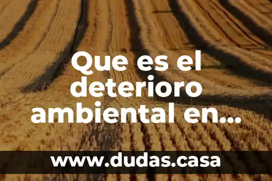 Que es el deterioro ambiental en las ciudades