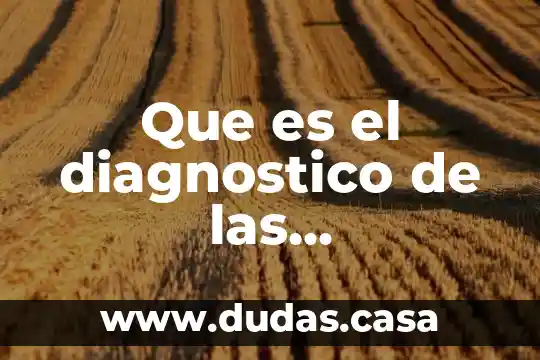 Que es el diagnostico de las necesidades del capital humano