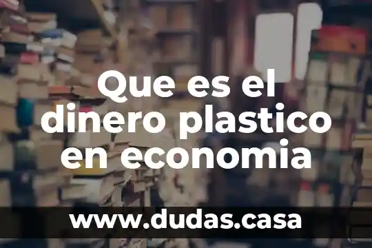Que es el dinero plastico en economia