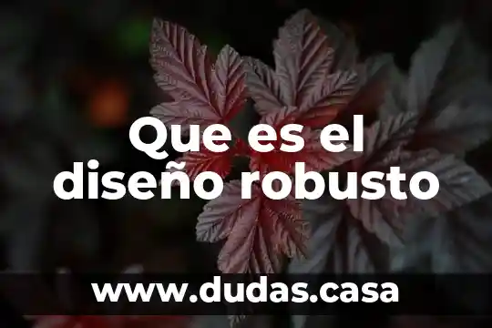 Que es el diseño robusto