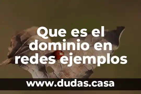 Que es el dominio en redes ejemplos