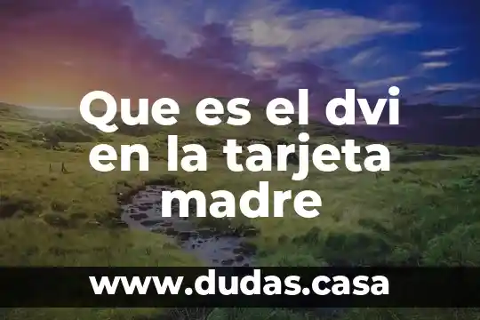 Que es el dvi en la tarjeta madre