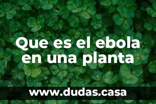 Que es el ebola en una planta