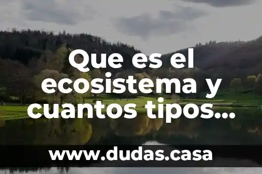 Que es el ecosistema y cuantos tipos hay