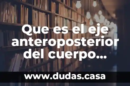 Que es el eje anteroposterior del cuerpo humano