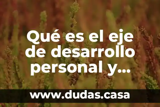 Qué es el eje de desarrollo personal y social