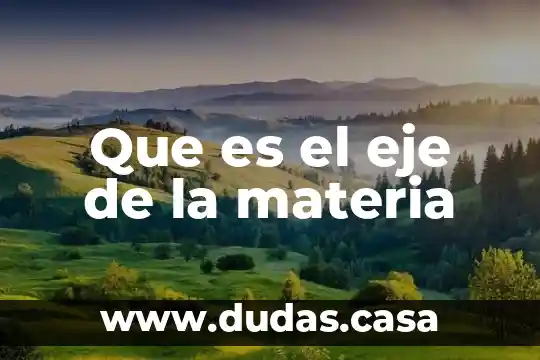 Que es el eje de la materia