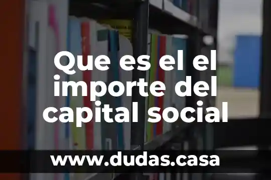Que es el el importe del capital social