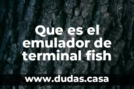 Que es el emulador de terminal fish