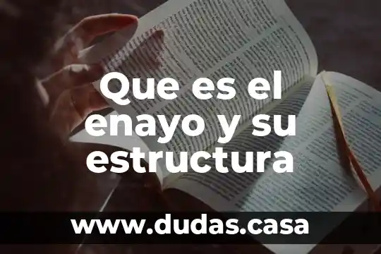 Que es el enayo y su estructura