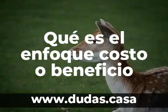 Qué es el enfoque costo o beneficio