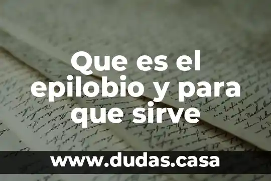 Que es el epilobio y para que sirve