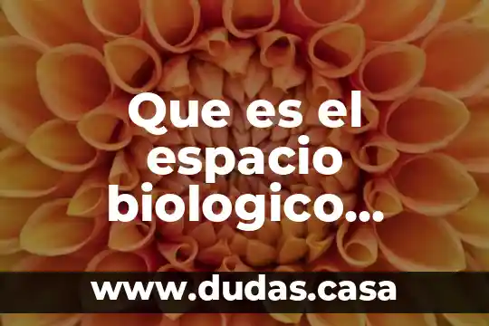 Que es el espacio biologico dental