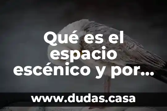 Qué es el espacio escénico y por qué es tan indispensable