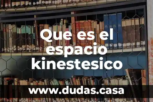 Que es el espacio kinestesico
