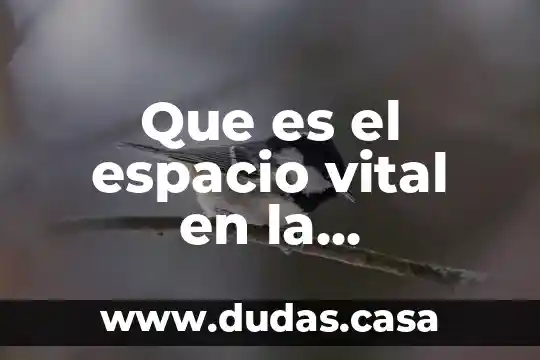 Que es el espacio vital en la geopolitica
