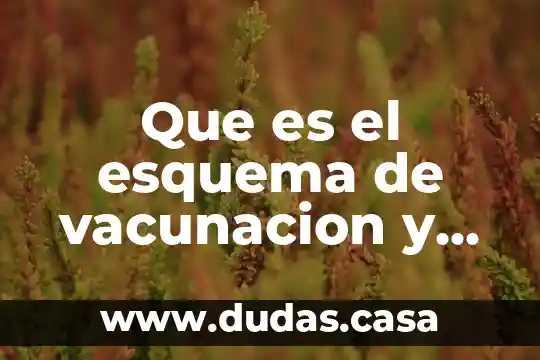 Que es el esquema de vacunacion y para que sirve