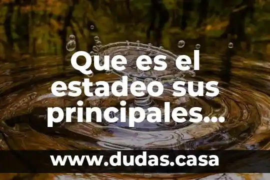 Que es el estadeo sus principales funciones y sus fines