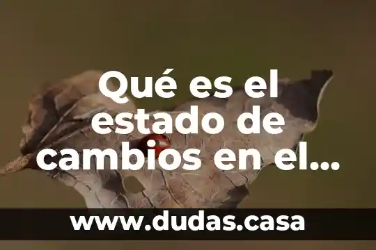 Qué es el estado de cambios en el capital contable