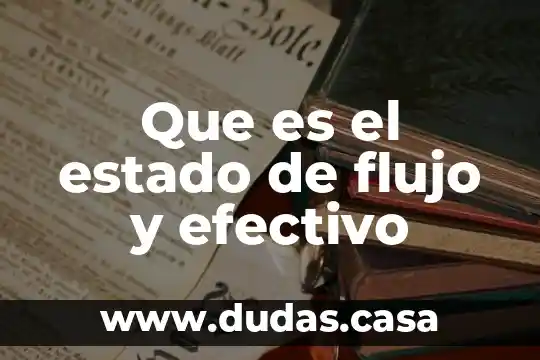 Que es el estado de flujo y efectivo