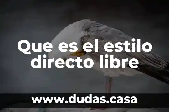Que es el estilo directo libre