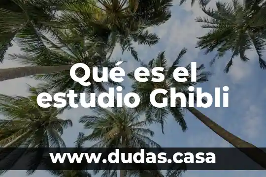 Qué es el estudio Ghibli