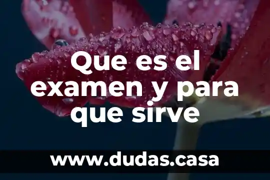 Que es el examen y para que sirve