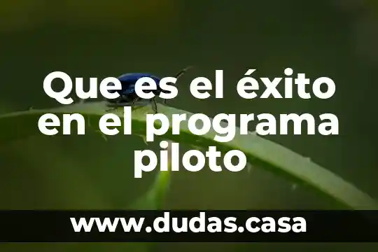 Que es el éxito en el programa piloto