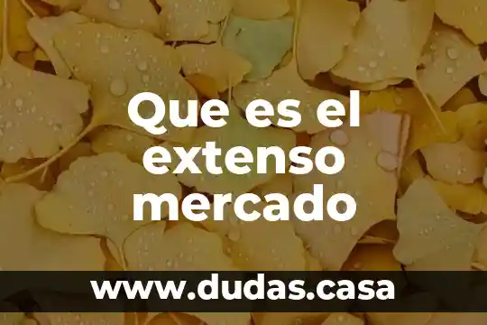 Que es el extenso mercado