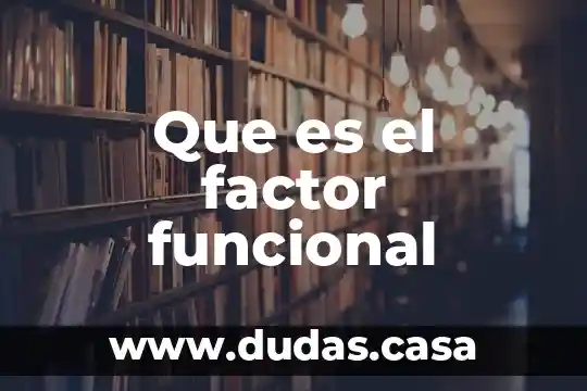 Que es el factor funcional