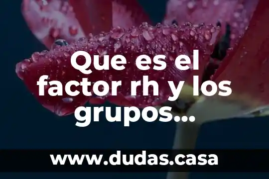 Que es el factor rh y los grupos sanguineos