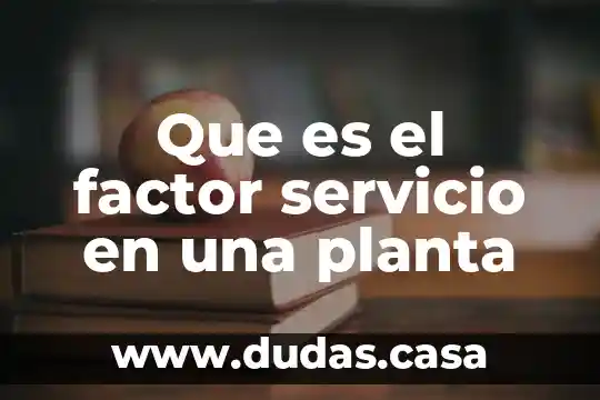Que es el factor servicio en una planta