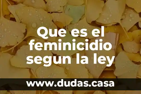 Que es el feminicidio segun la ley