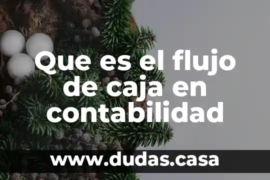 Que es el flujo de caja en contabilidad