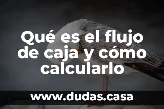 Qué es el flujo de caja y cómo calcularlo