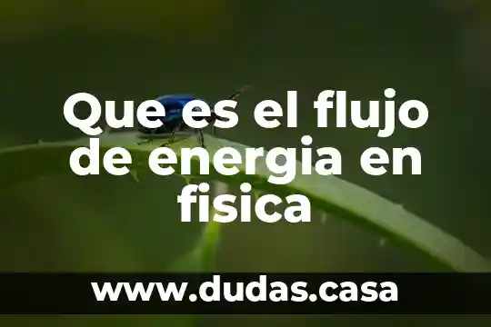 Que es el flujo de energia en fisica