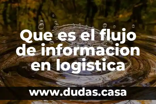 Que es el flujo de informacion en logistica
