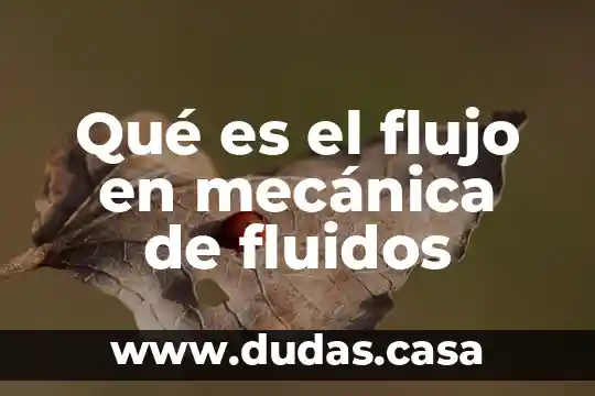 Qué es el flujo en mecánica de fluidos