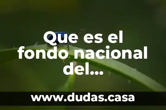 Que es el fondo nacional del emprendedor